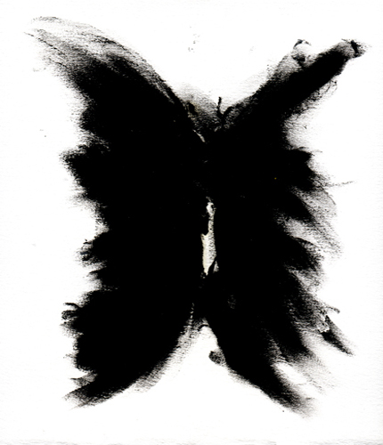 Fly 3
