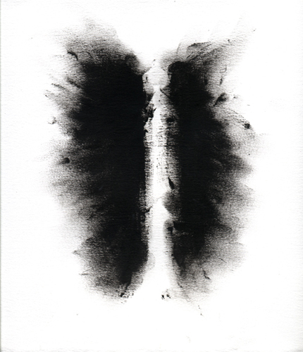 Fly 13